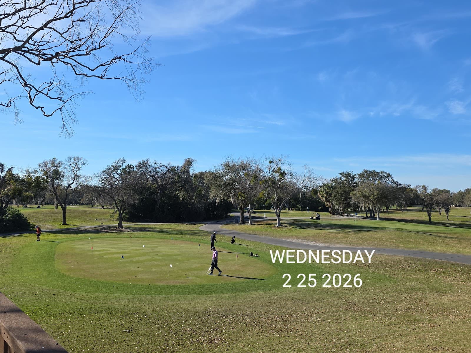Beacon Woods Golf