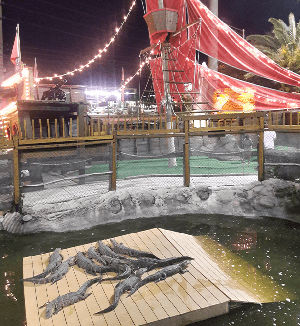 Cheddar Crazy Golf
