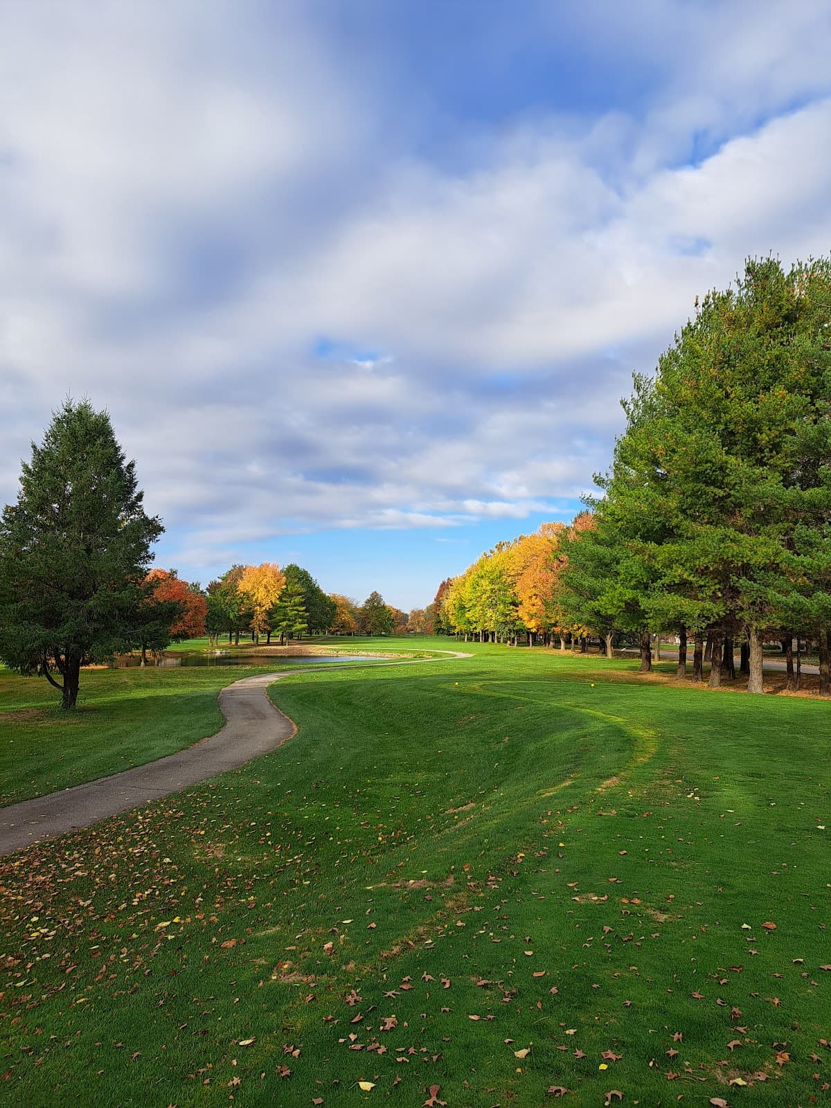 Chippendale Golf Course
