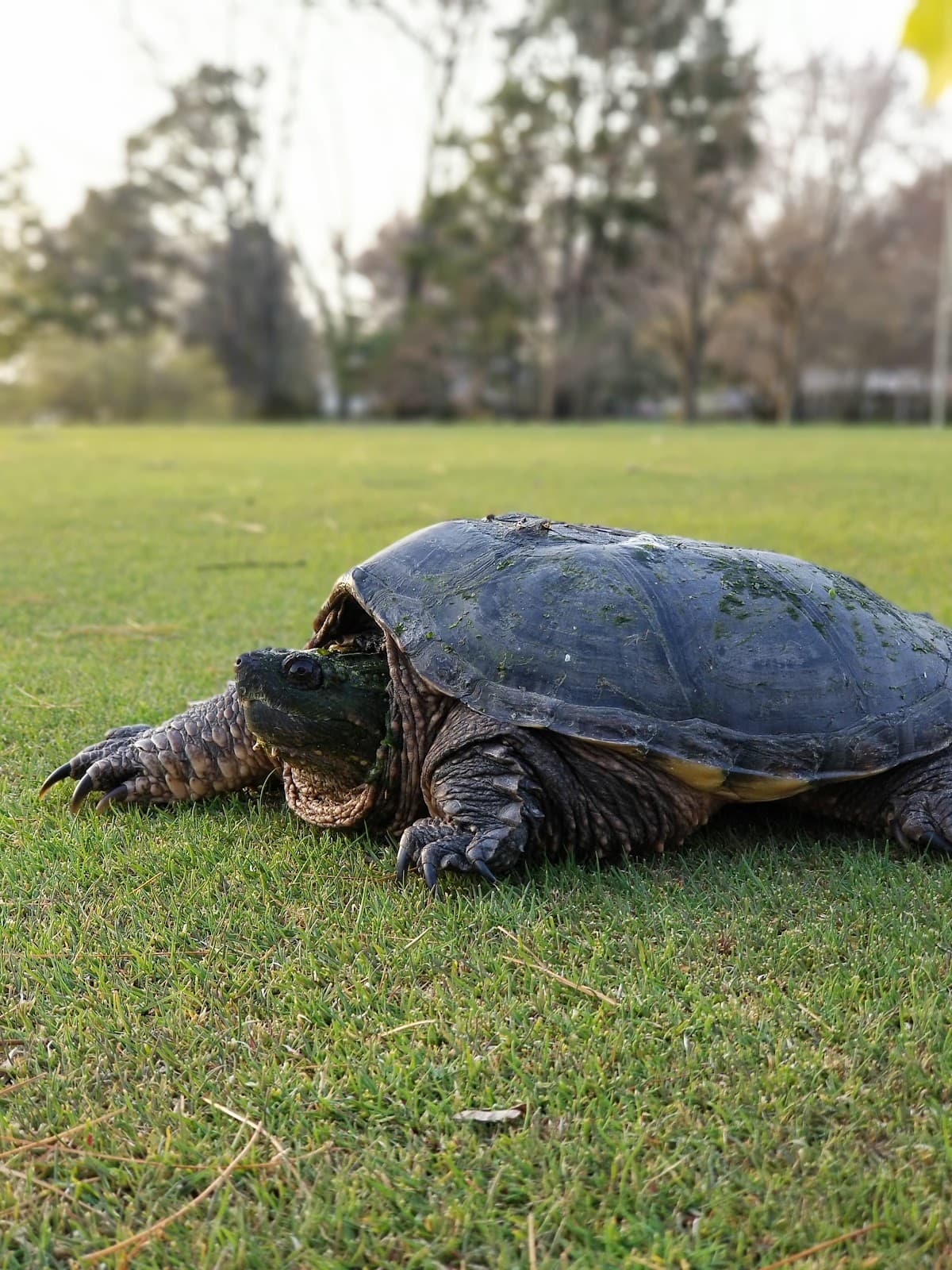 East Fork Golf Course