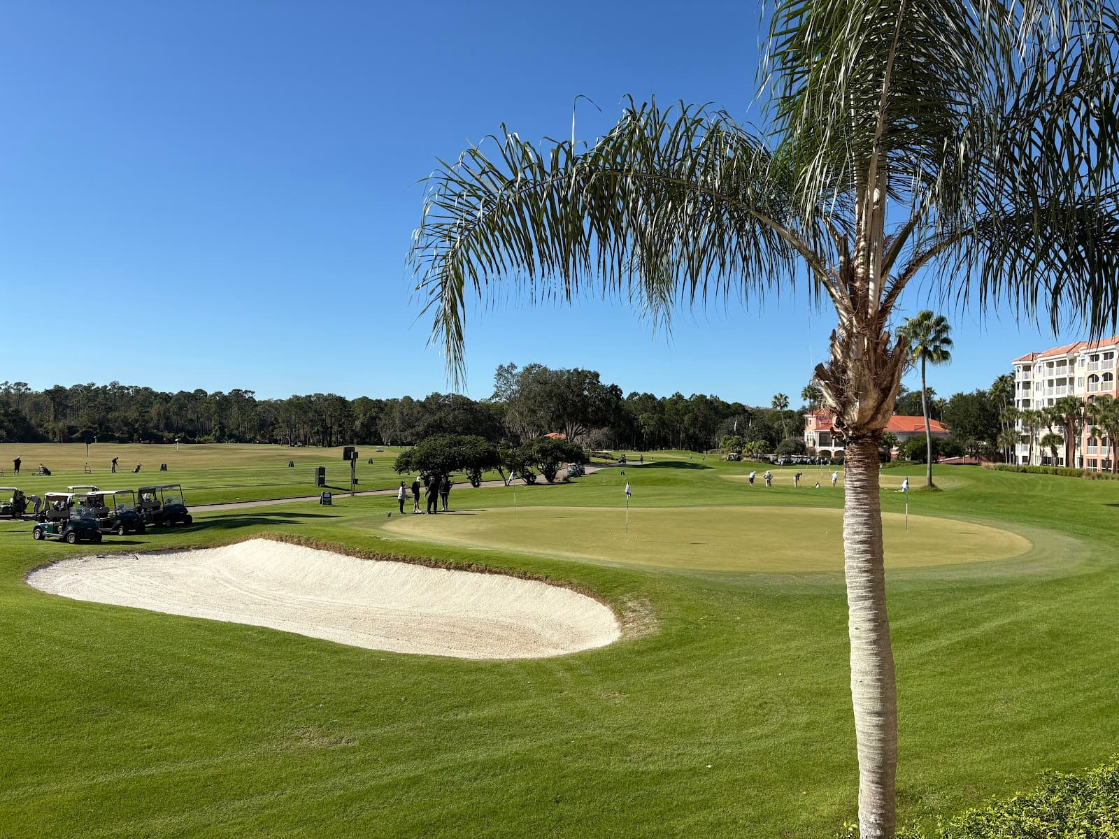 Grande Vista Golf Club & Marriott Golf Academy