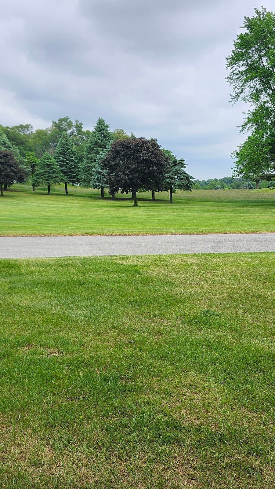 Moss Creek Golf Course