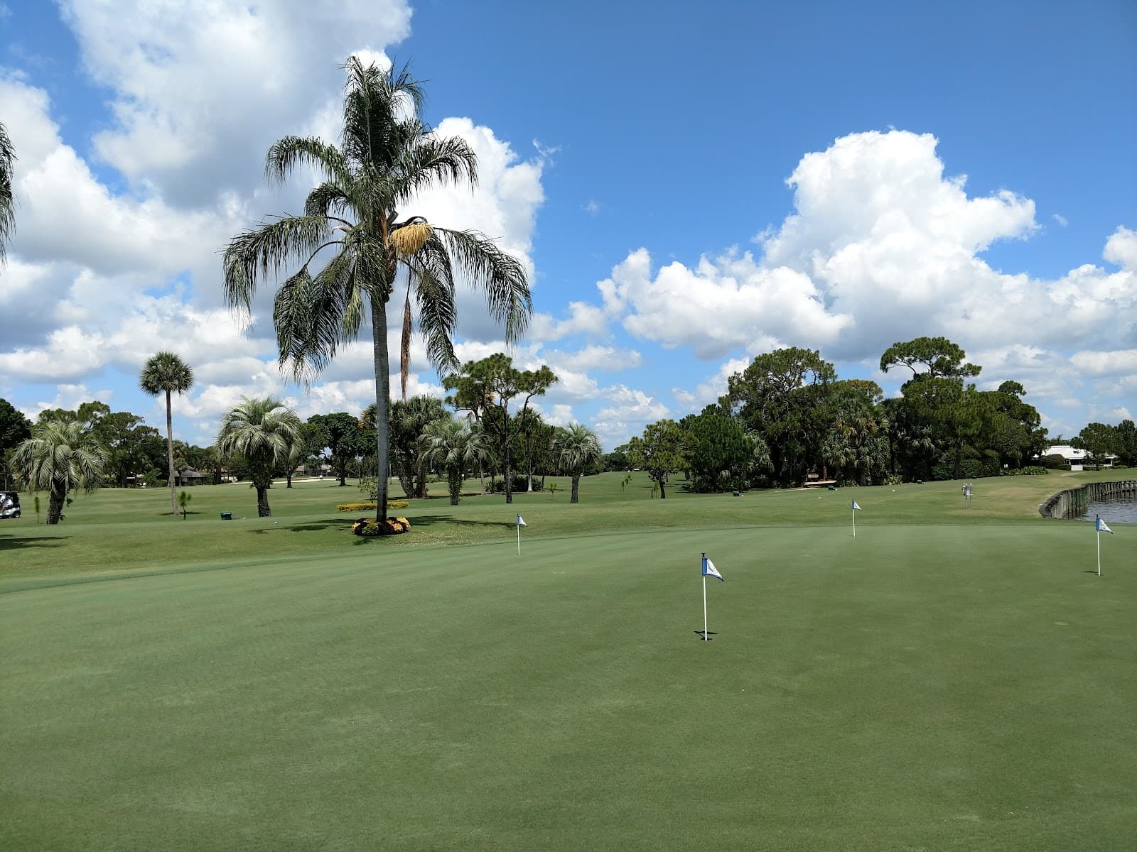 Old Marsh Golf Club