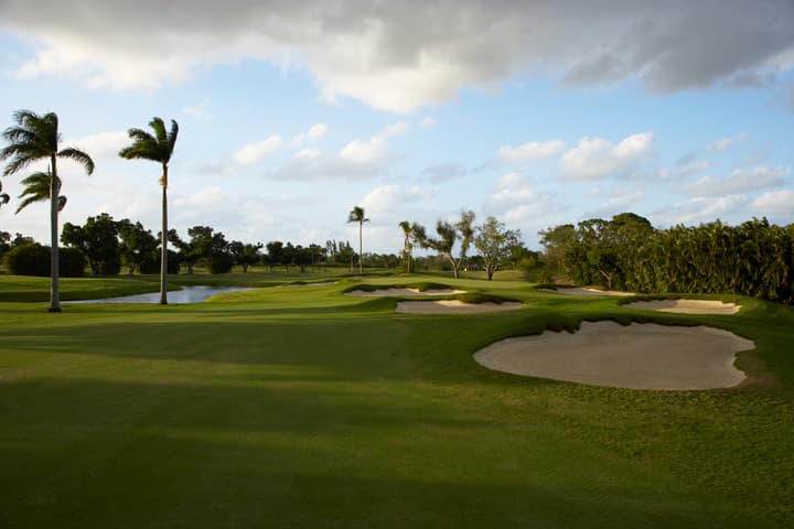 Pine Tree Golf Club