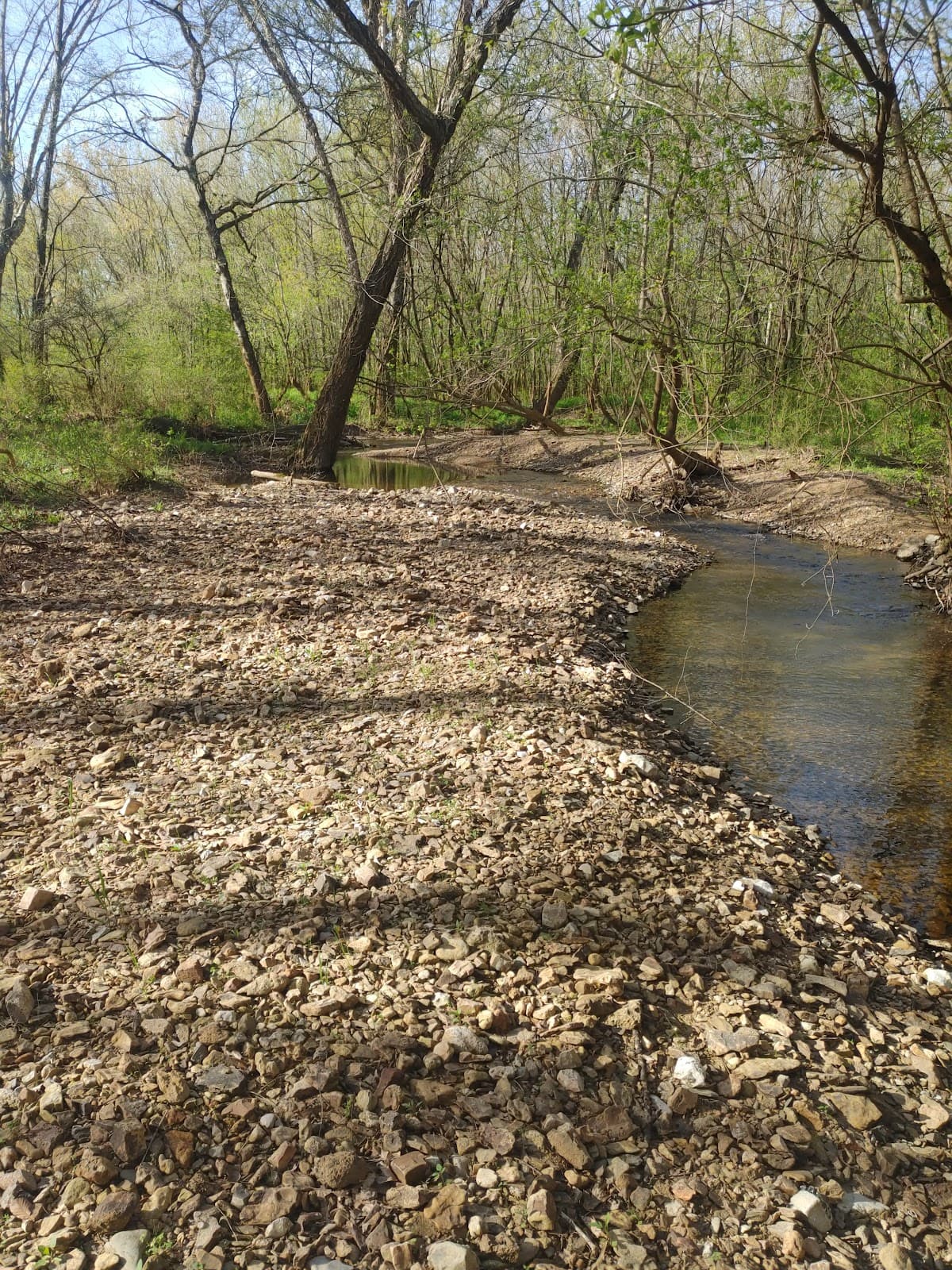 Shoal Creek