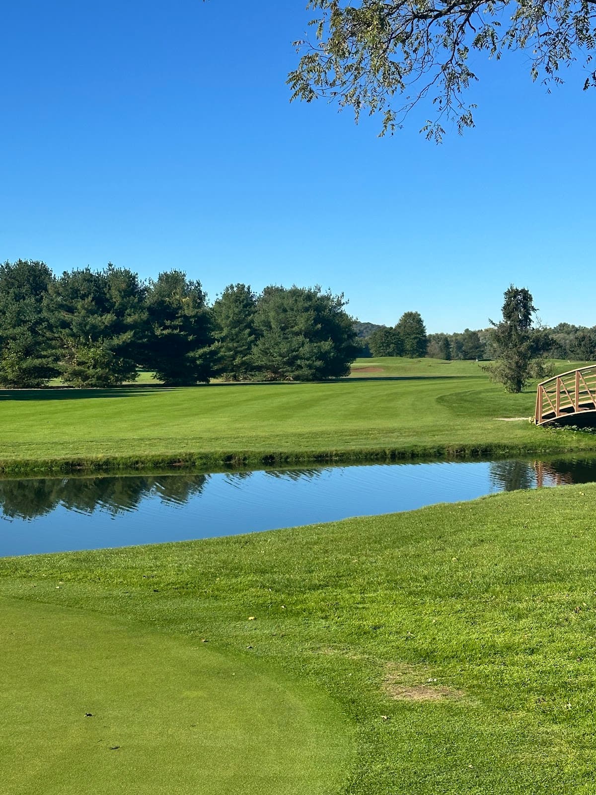 Sugar River Greens