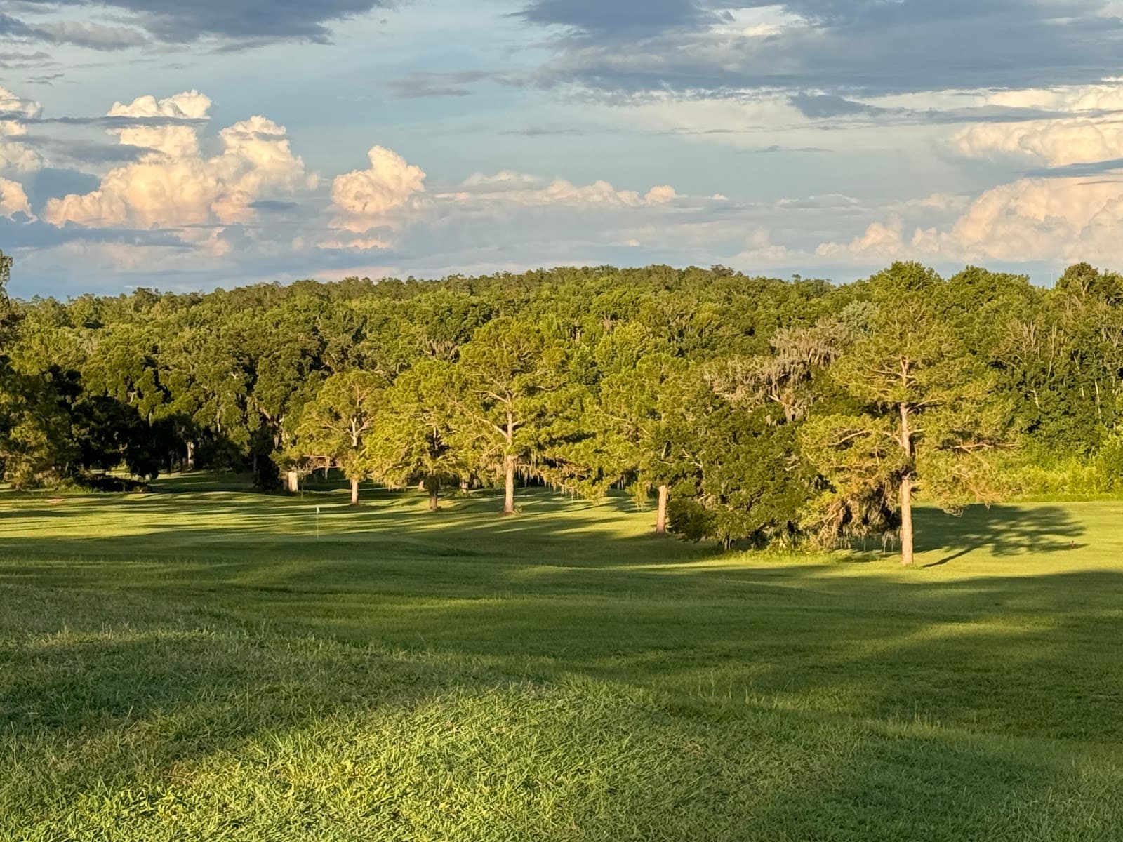 The Abbey Course