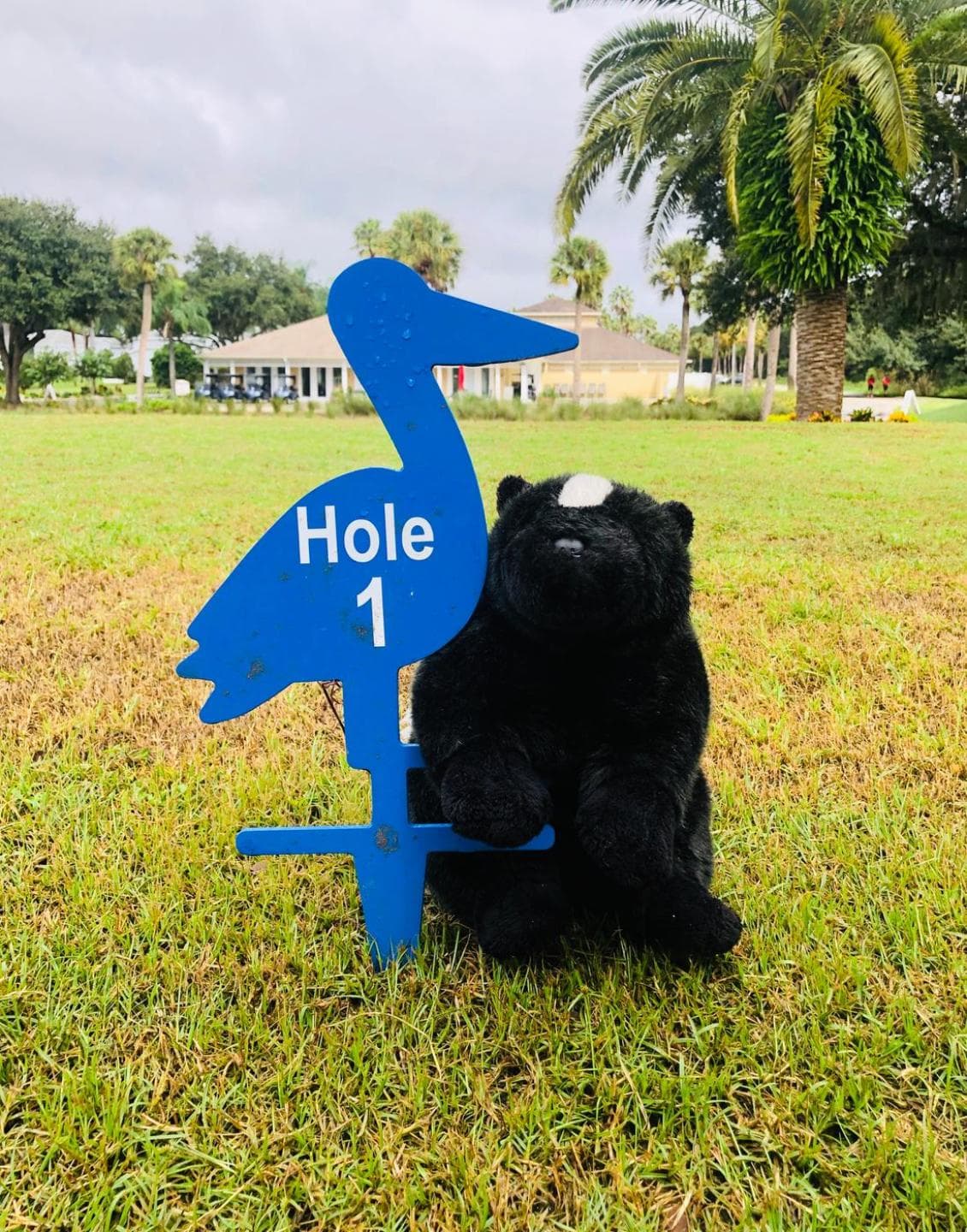 White Heron Golf Club