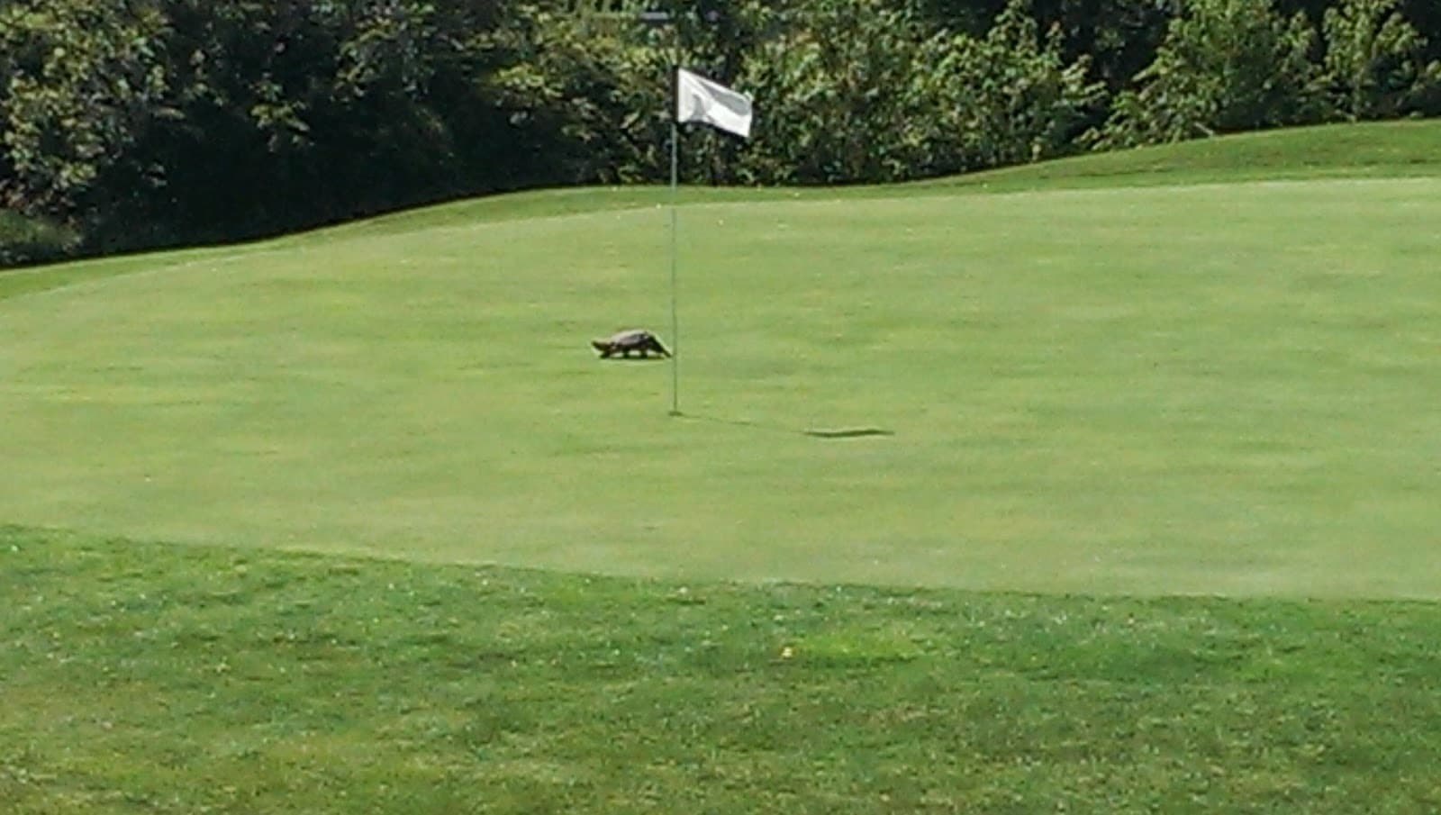 Wolves Crossing Golf Course