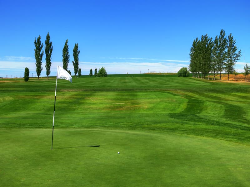 93 Golf Ranch