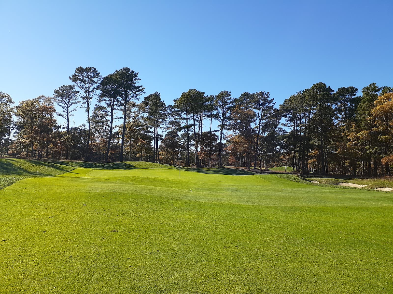 Bayberry Hills