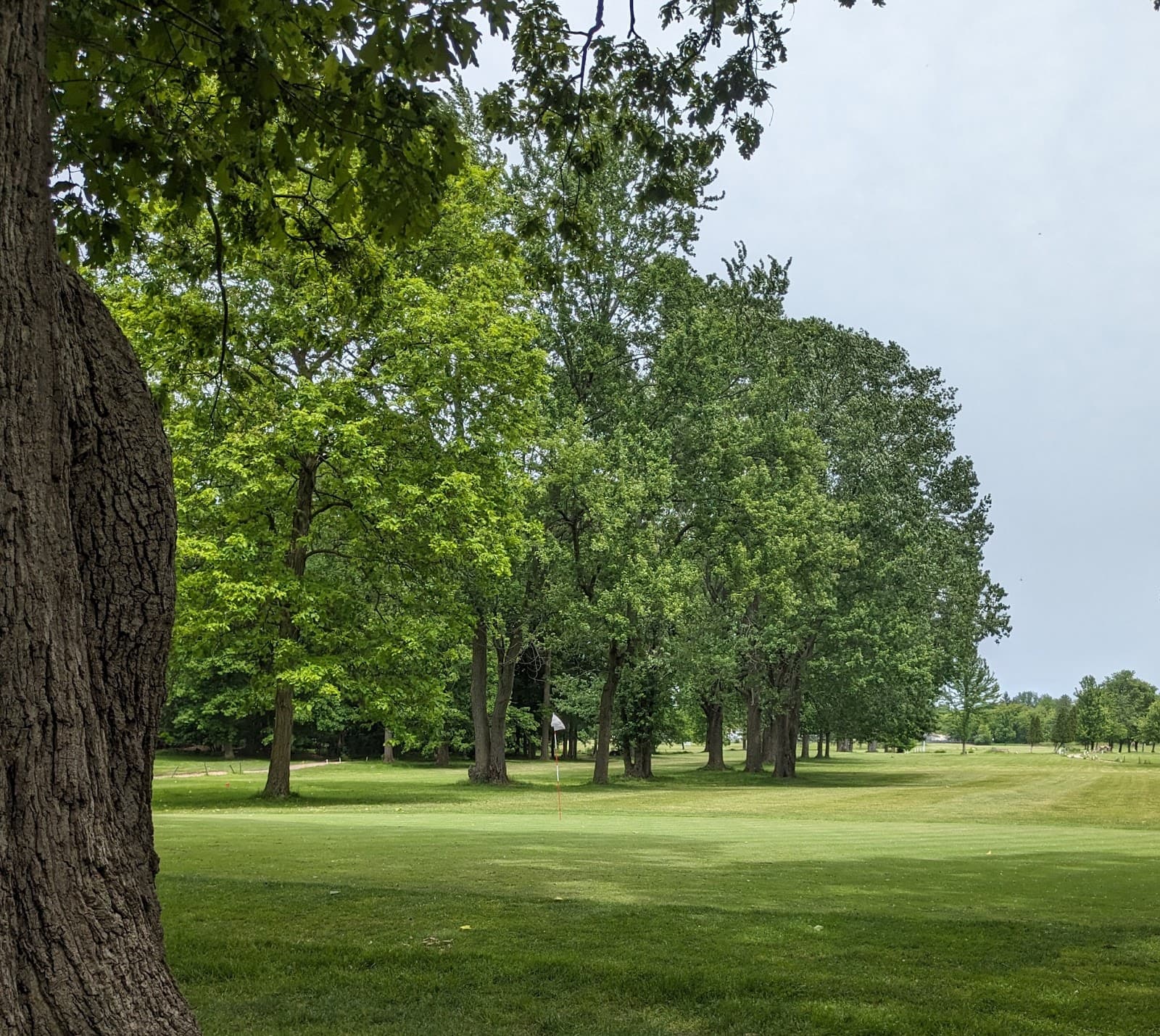Beechwood Greens
