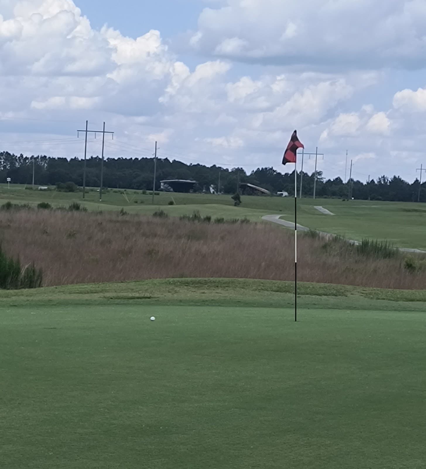 Brazell's Creek At Gordonia-Alatamaha