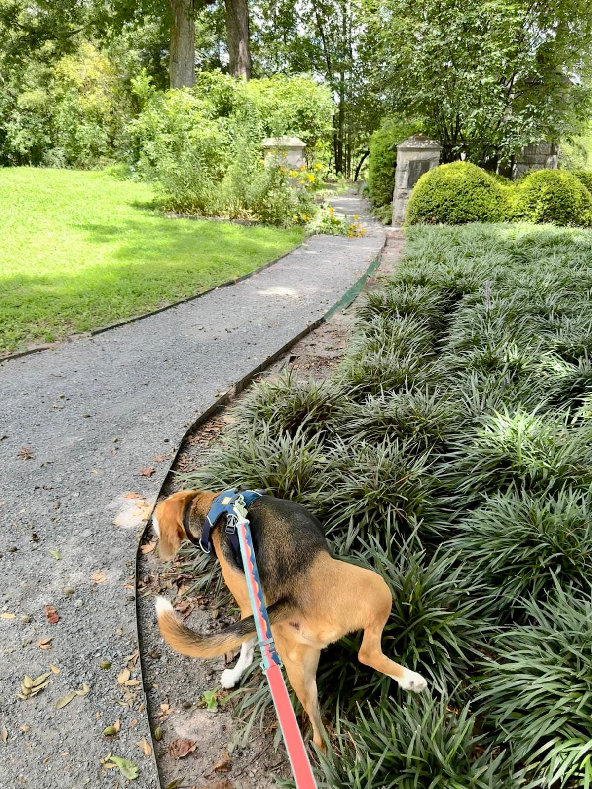 Candler Park