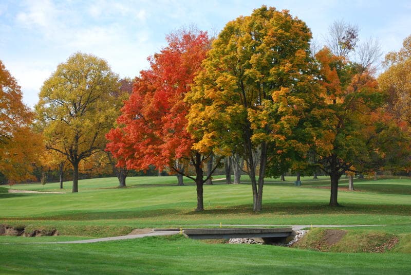 Country Club of Indianapolis