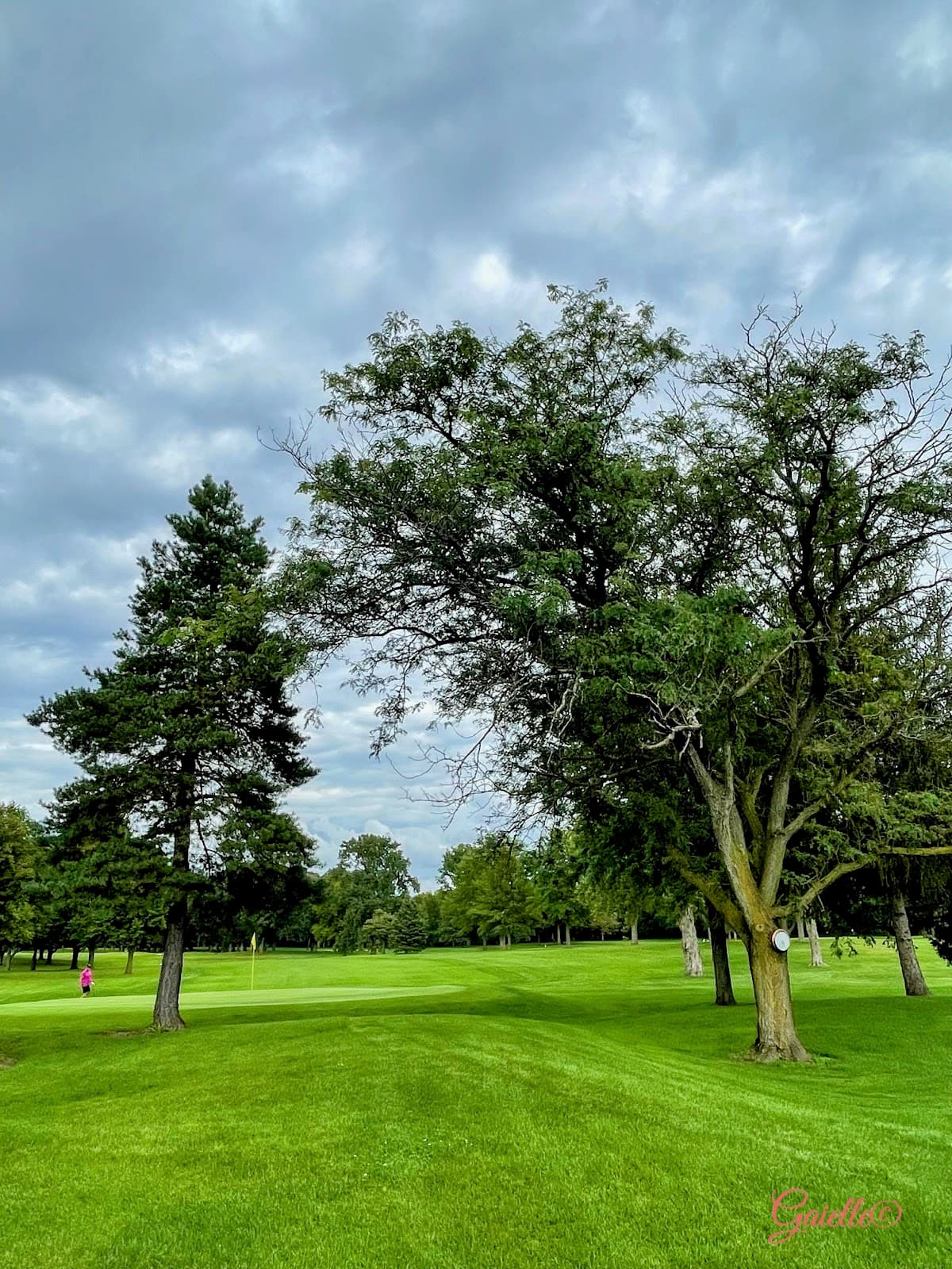 Craig Woods Golf Course