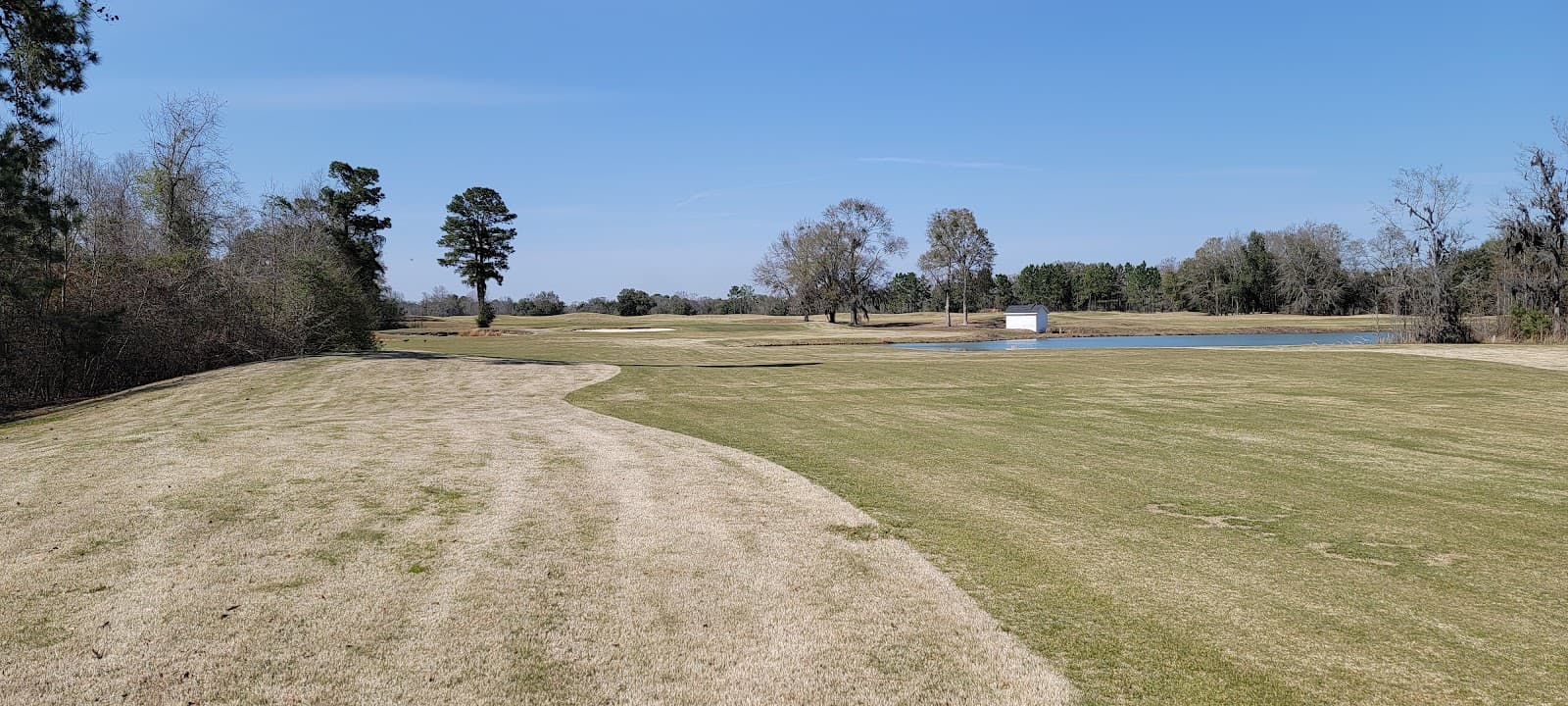 Crooked Oak
