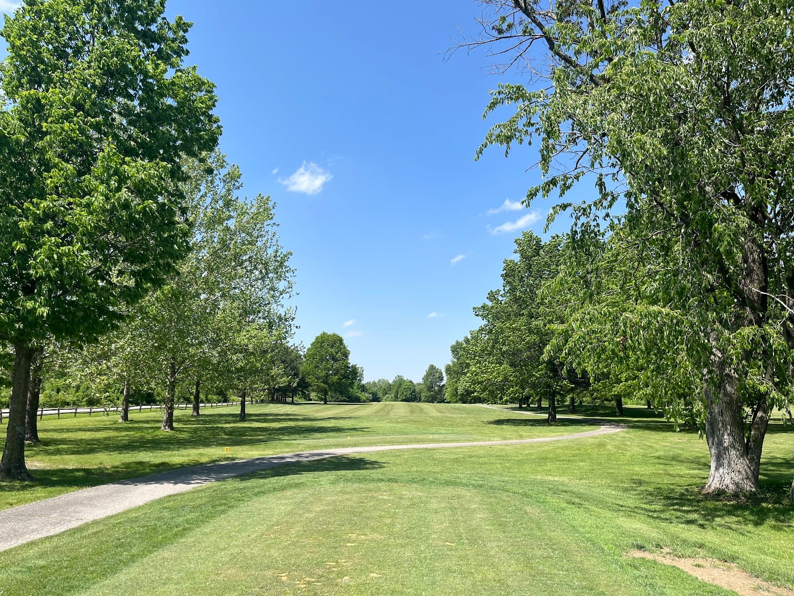 Eagle Pines