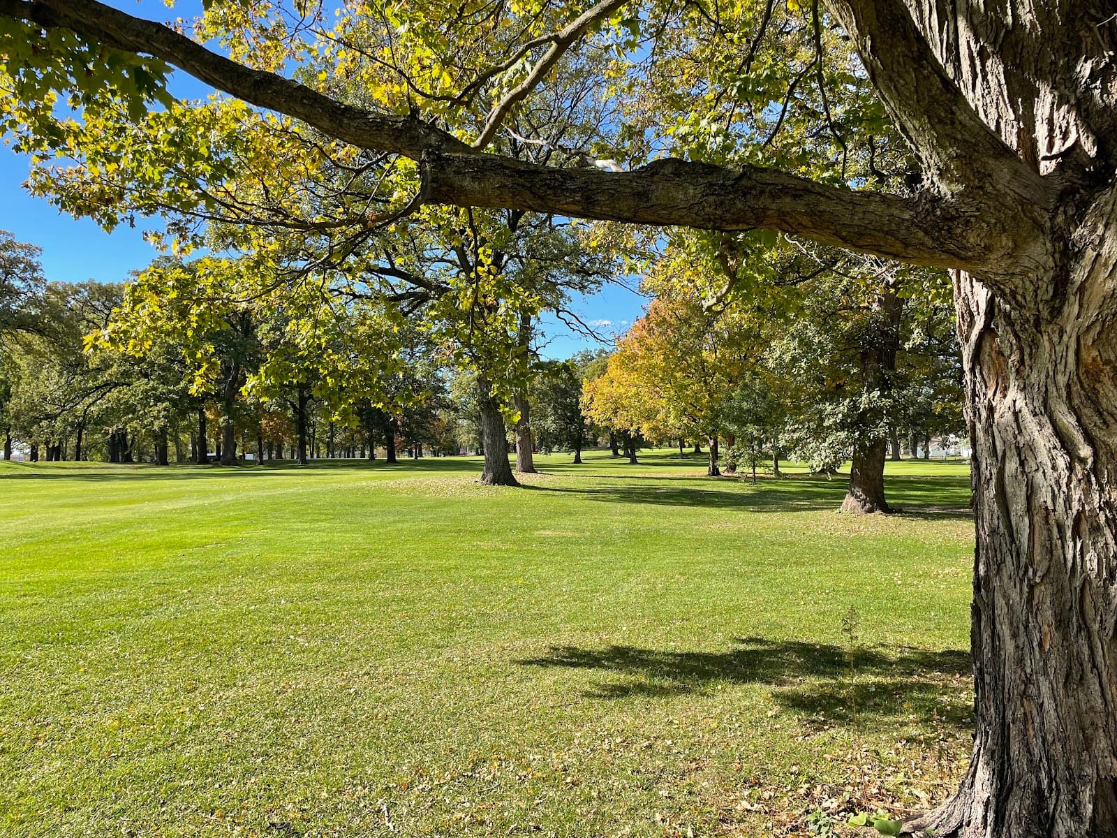 Fairways Public Golf Course