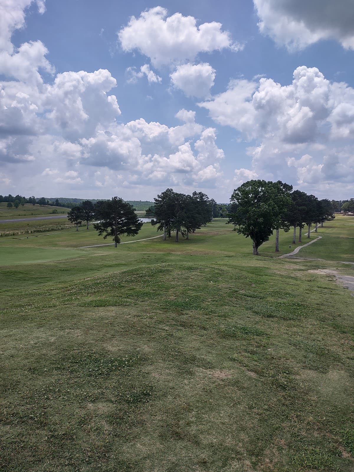 Haleyville Country Club