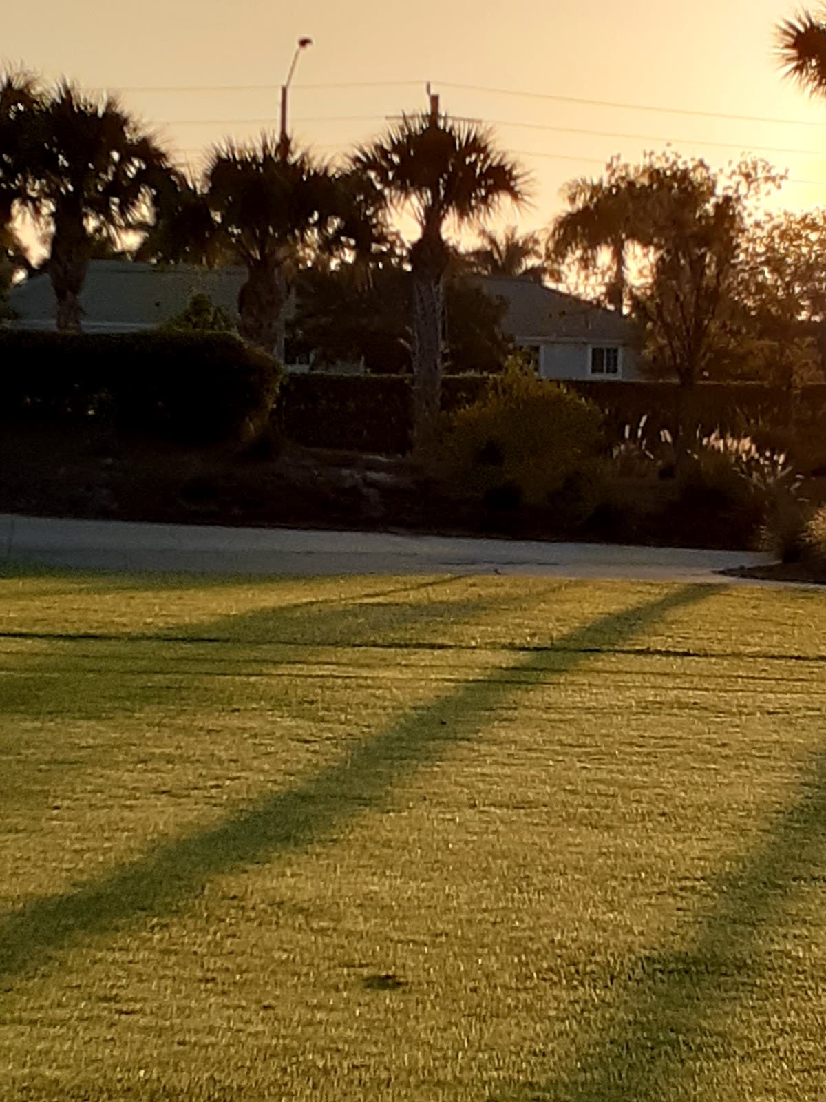 Heritage Palms