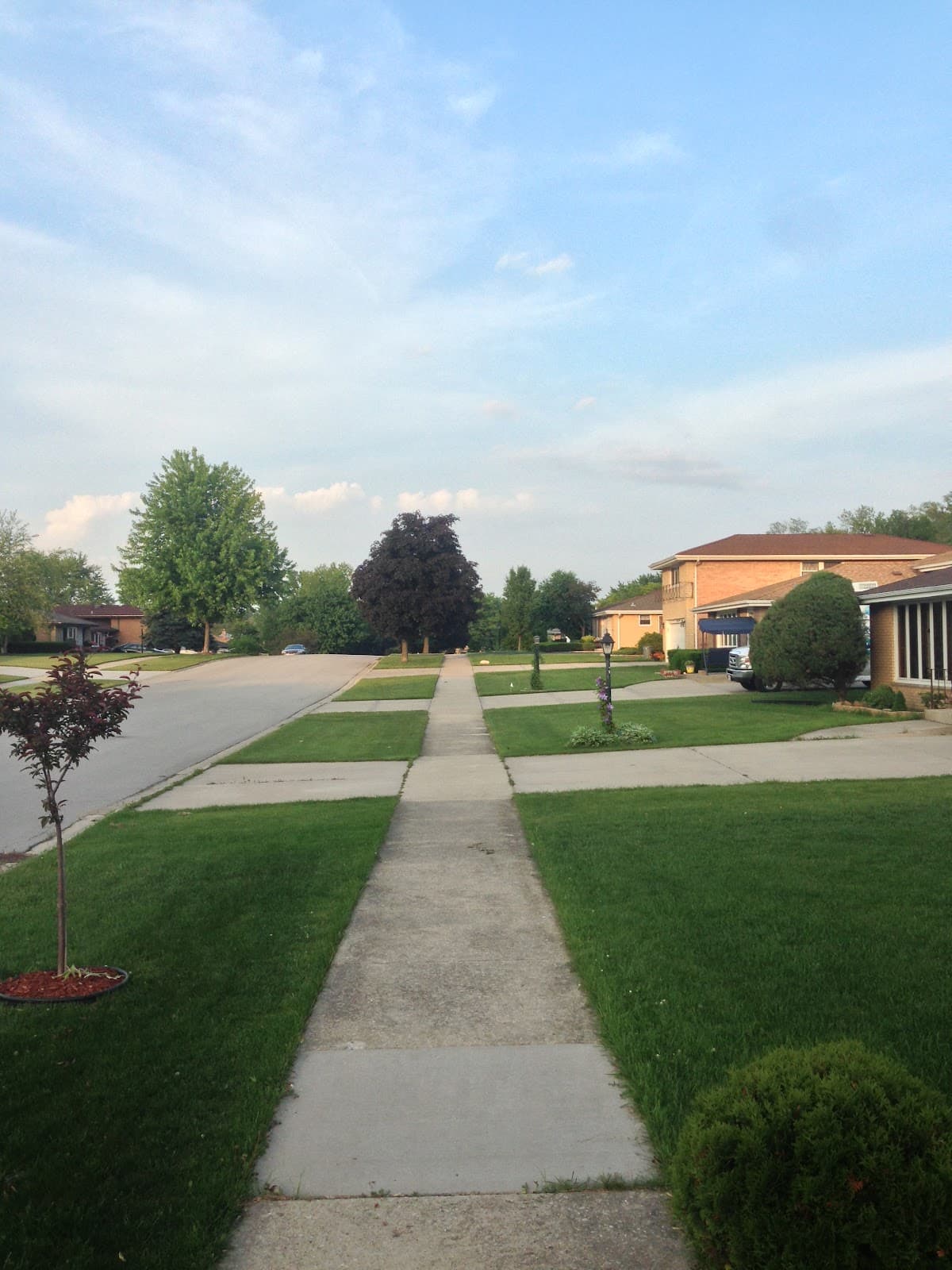 Hickory Hills
