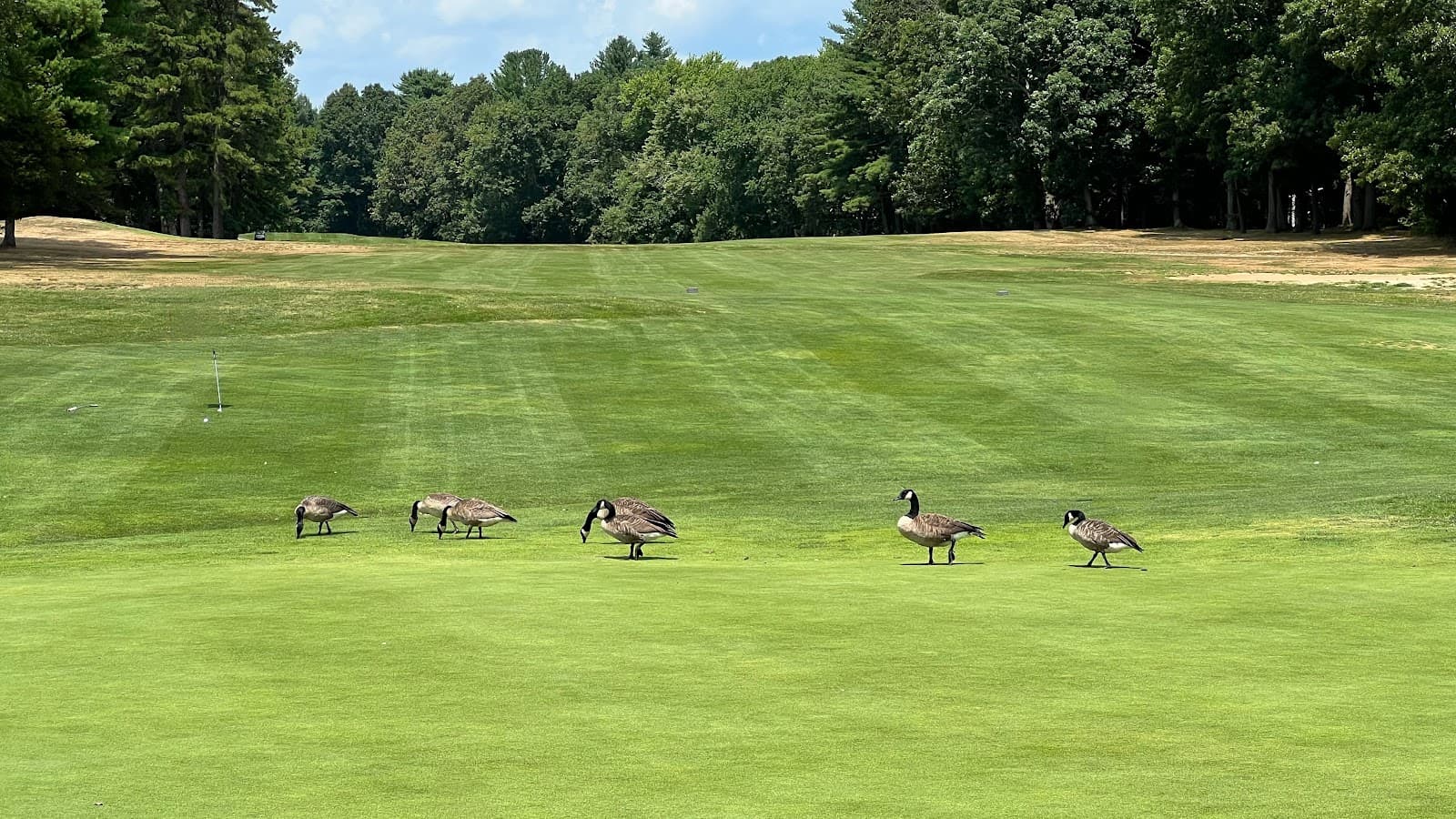 Hillview Country Club