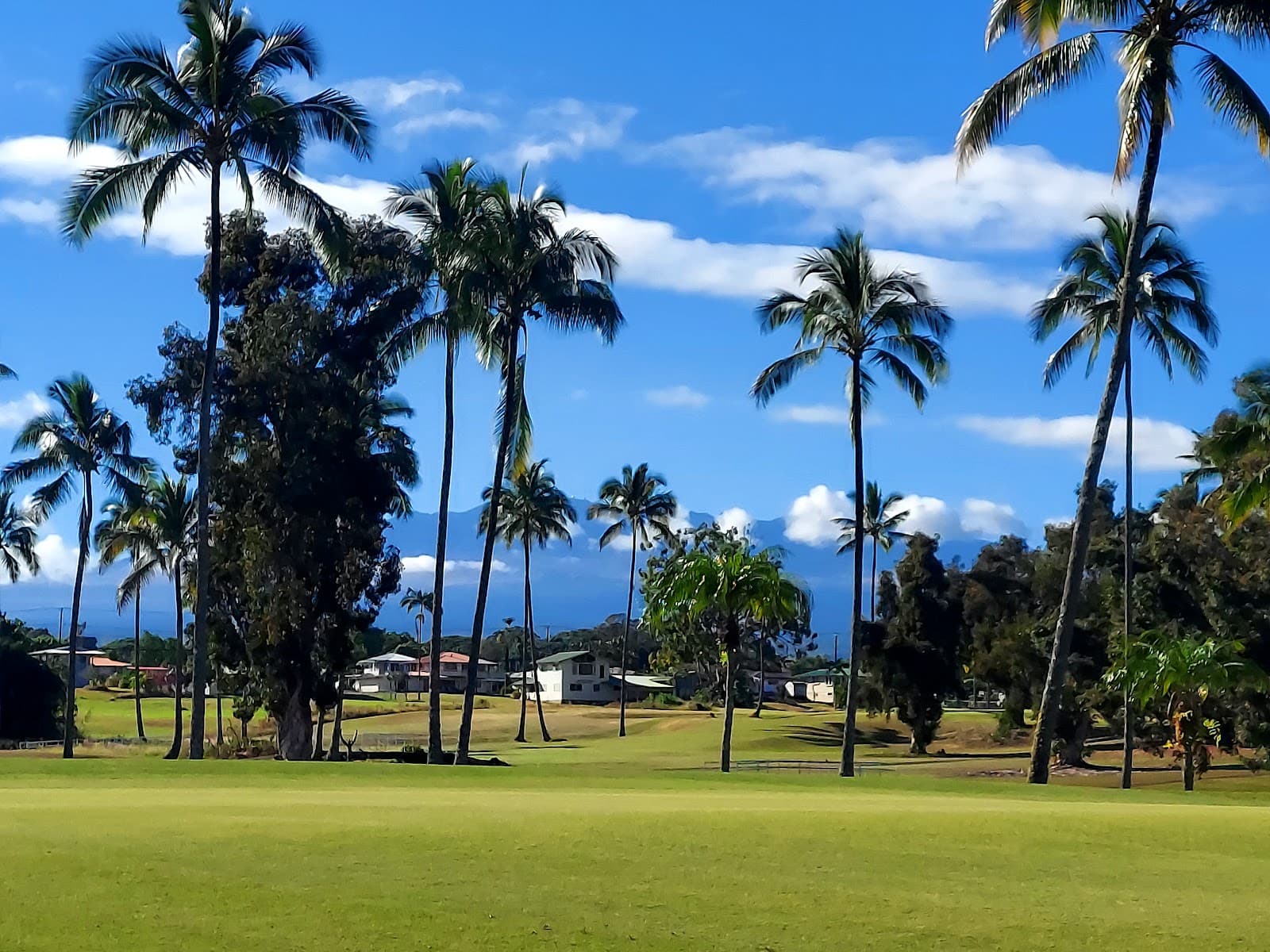 Hilo Municipal