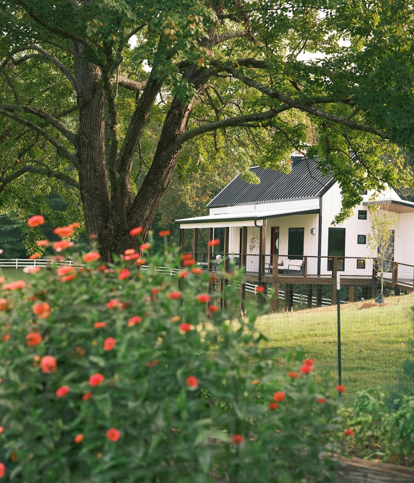 Horseshoe Farms