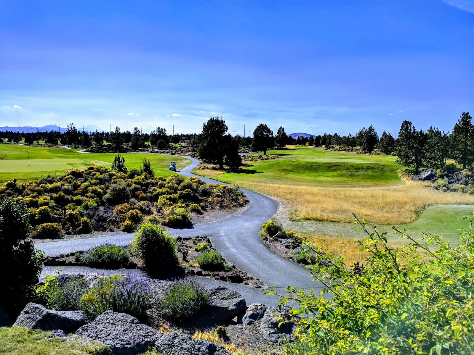 Juniper Golf Club