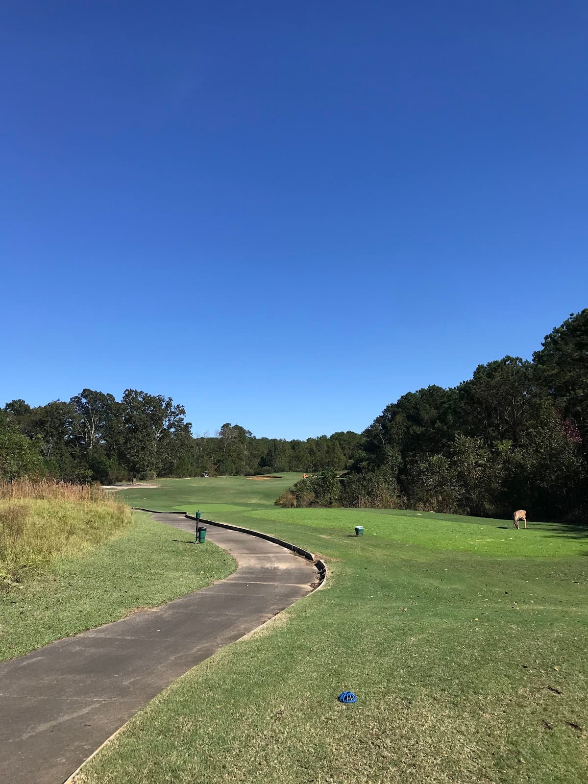 Meadow Links Golf Course at George T. Bagby