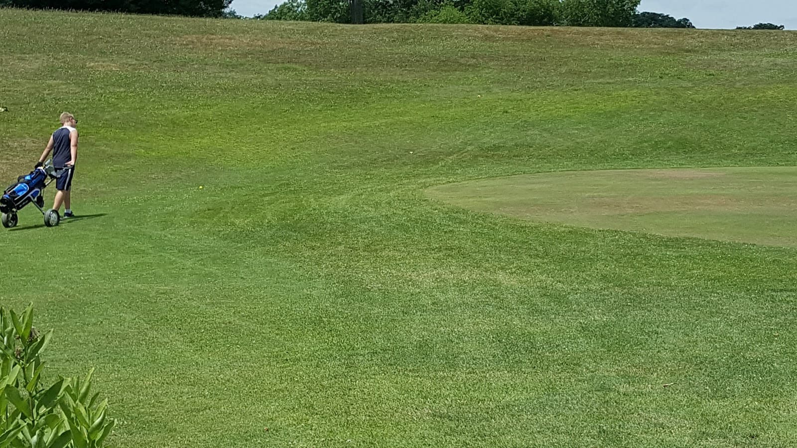 Mink Lake Golf Course