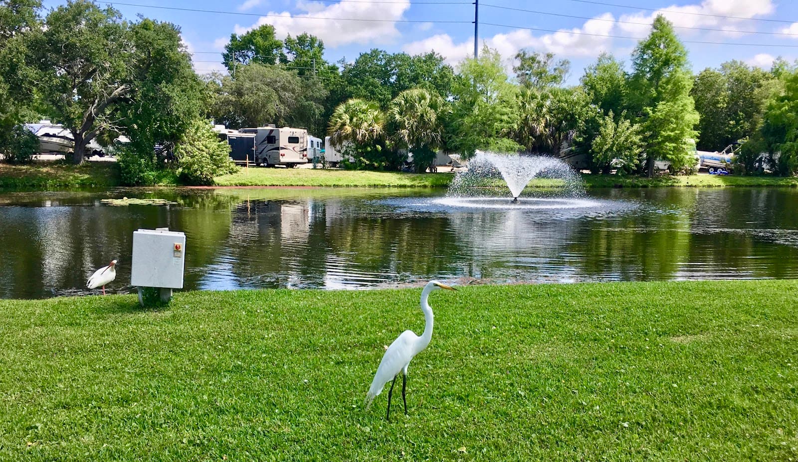 Palm Hill Golf Club