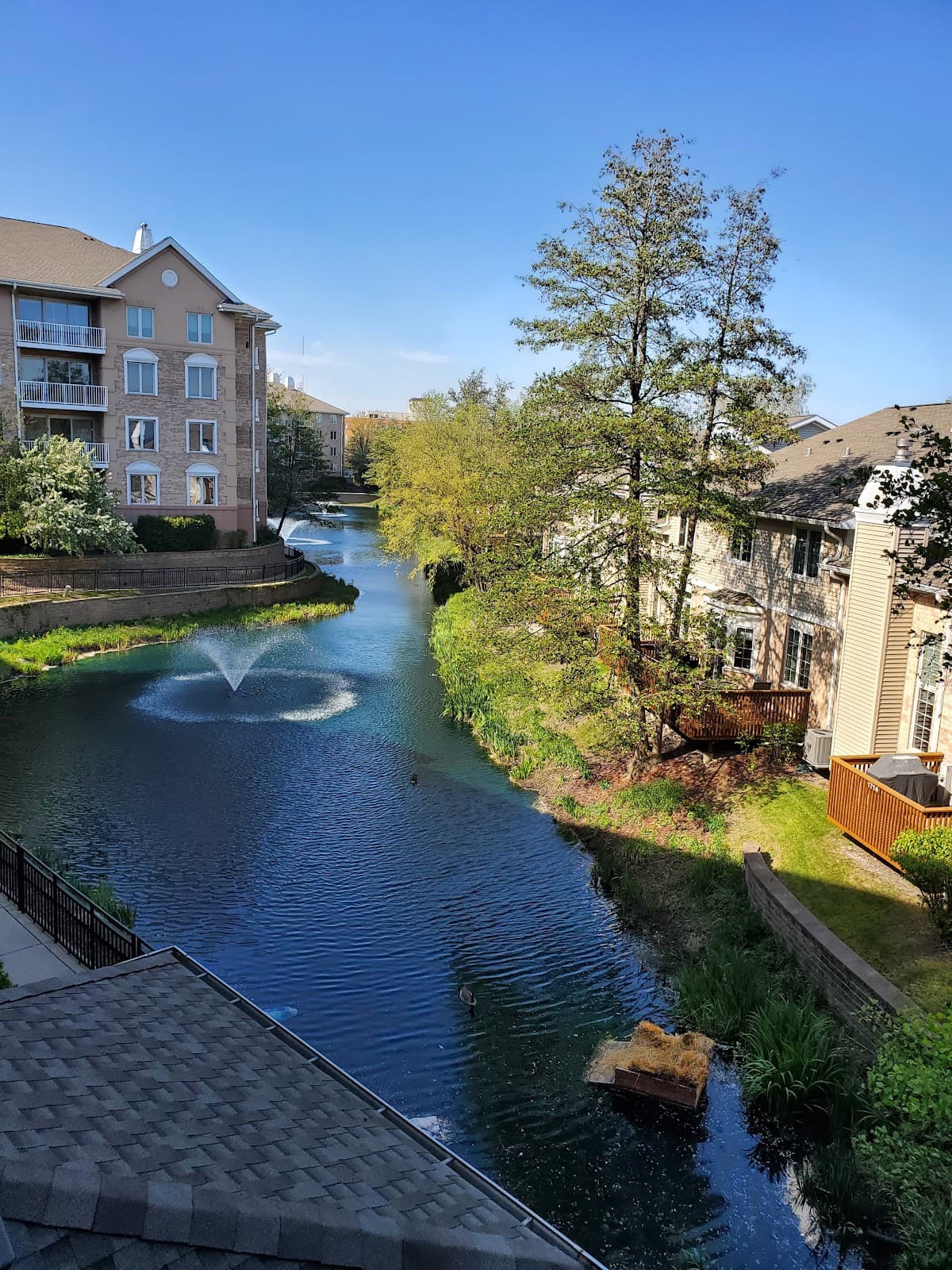 Park Ridge