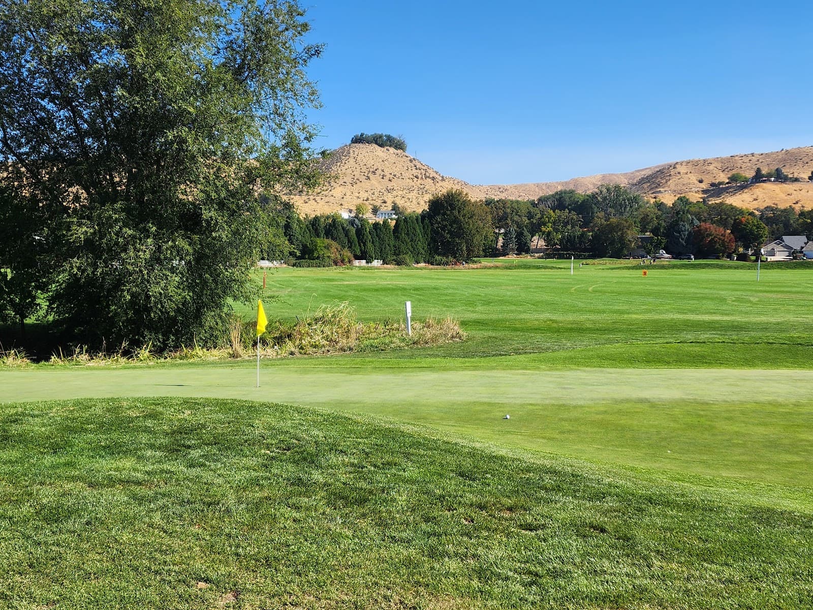 Pierce Park Greens