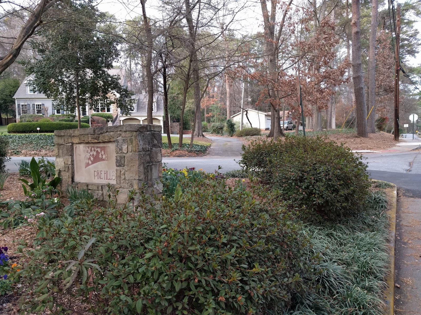 Pine Hills