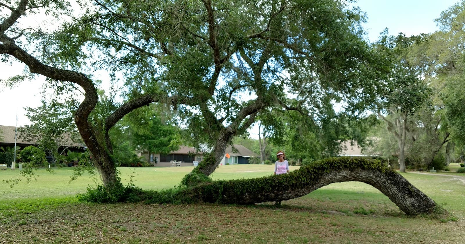 Ridge Manor Oaks Golf & Country Club