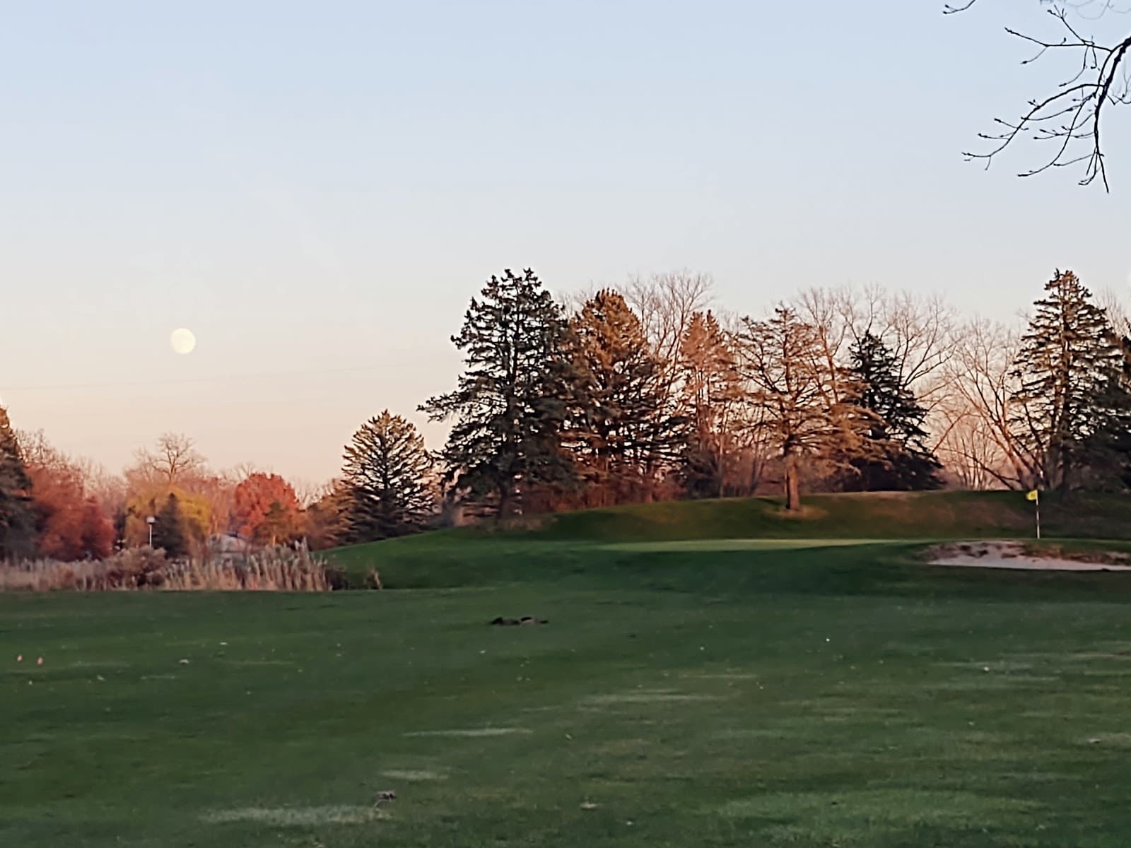 Scherwood Golf