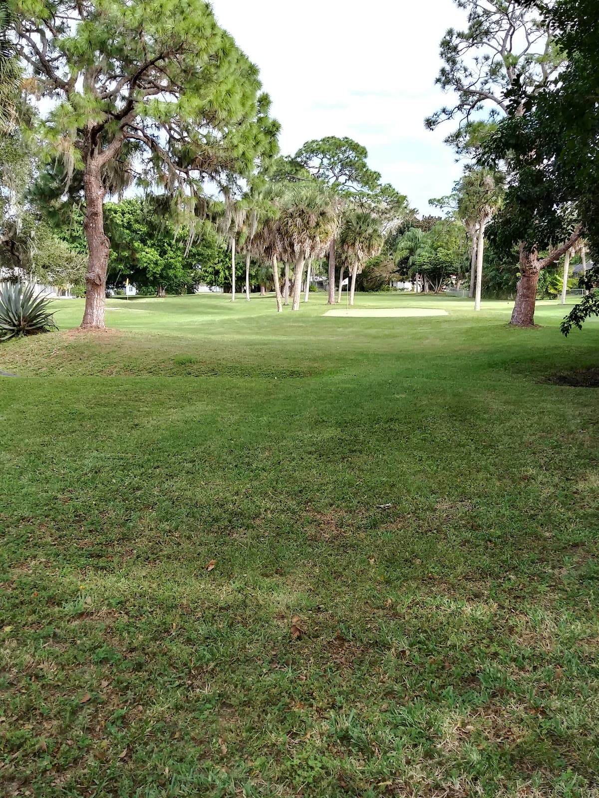Sorrento Par-3
