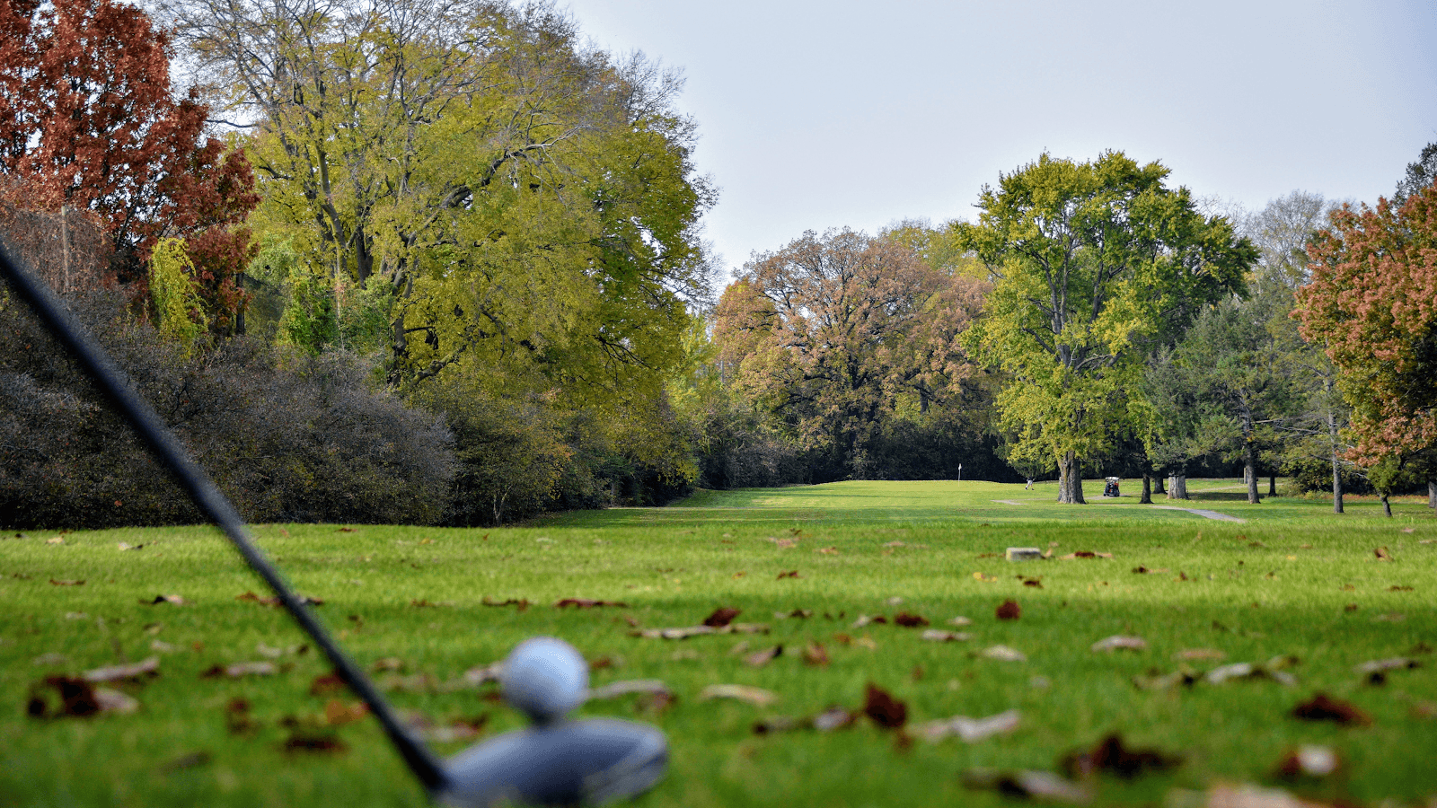 South Grove Golf Course