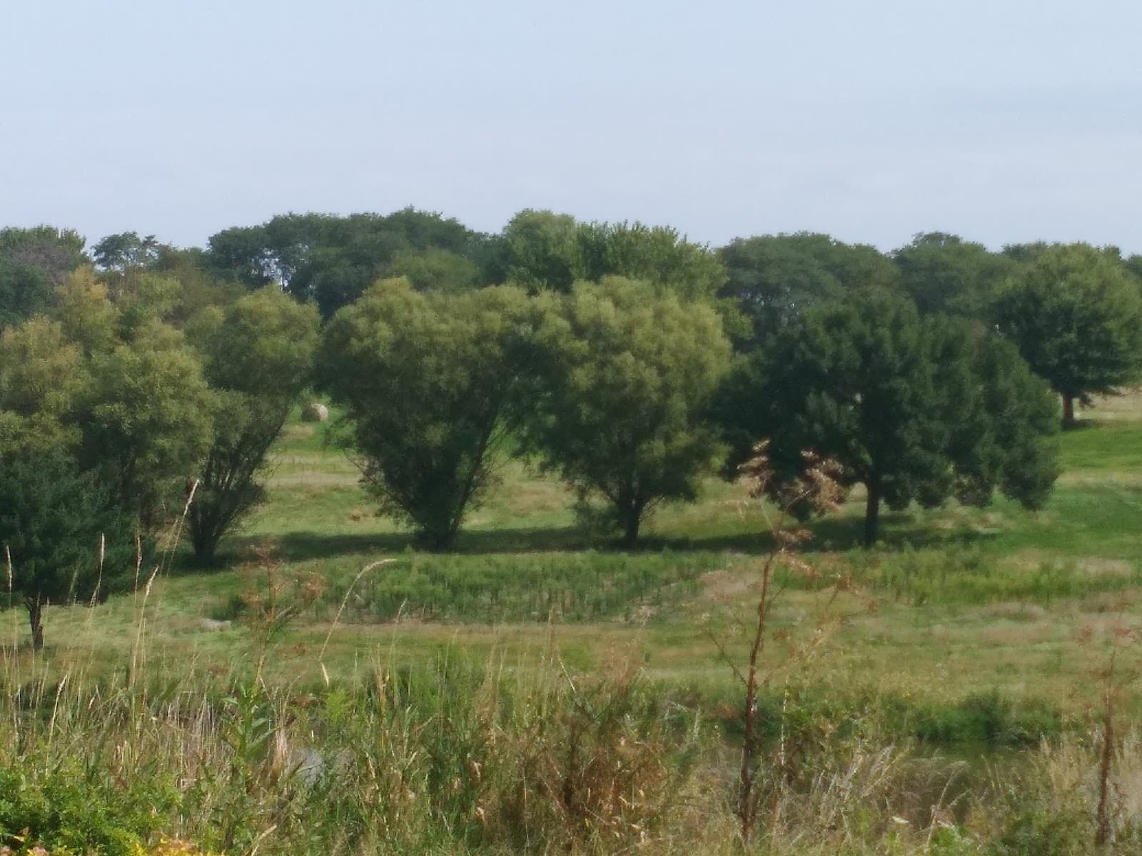 Swan Creek Golf Club