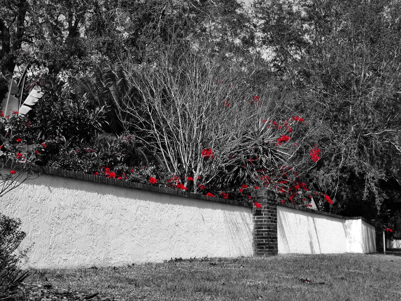 The Country Club At Deer Run