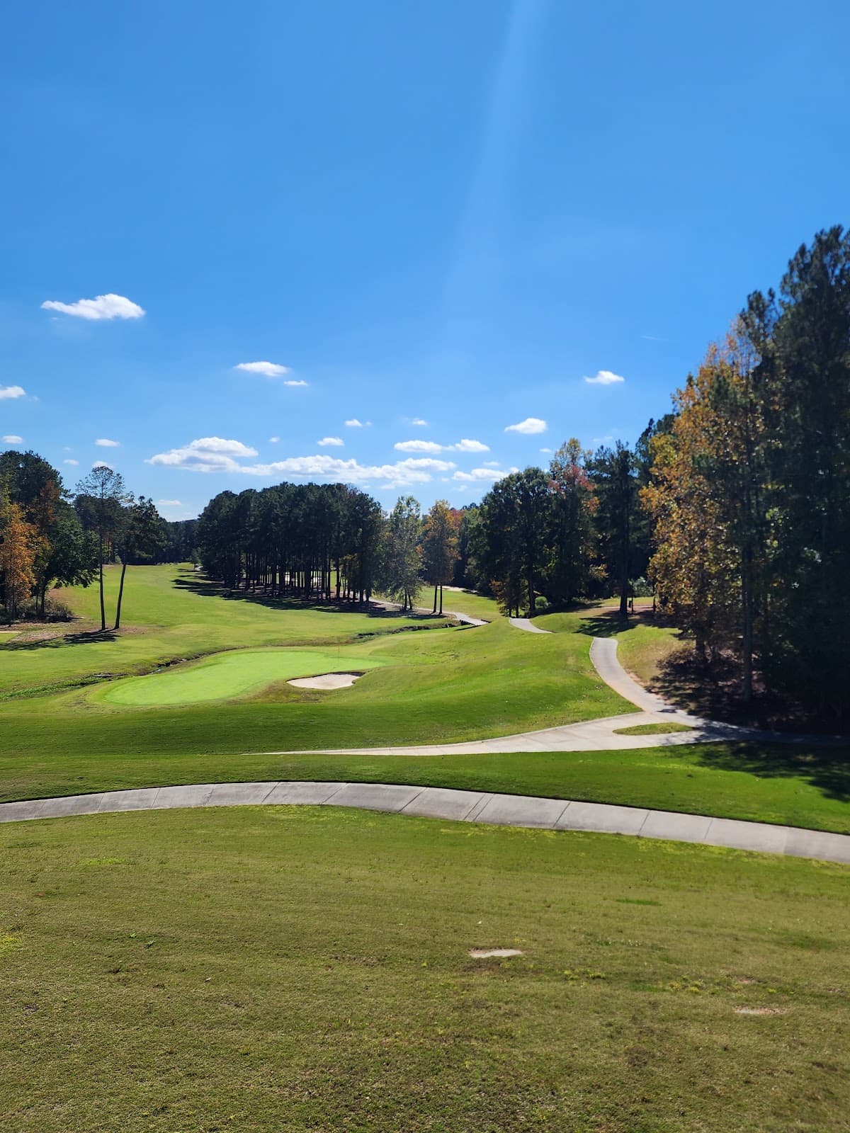 The Frog Golf Club
