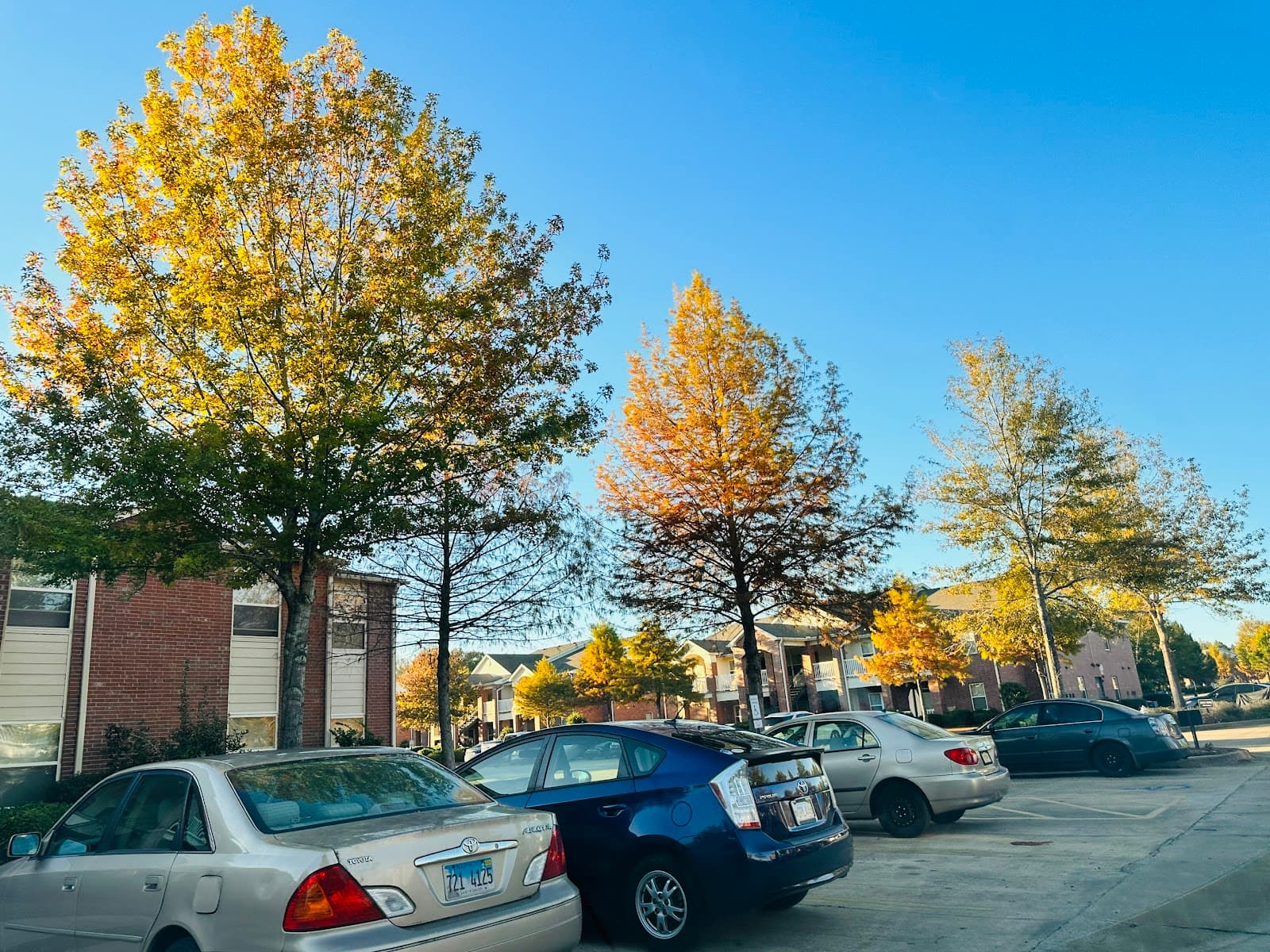 The Greens At Auburn
