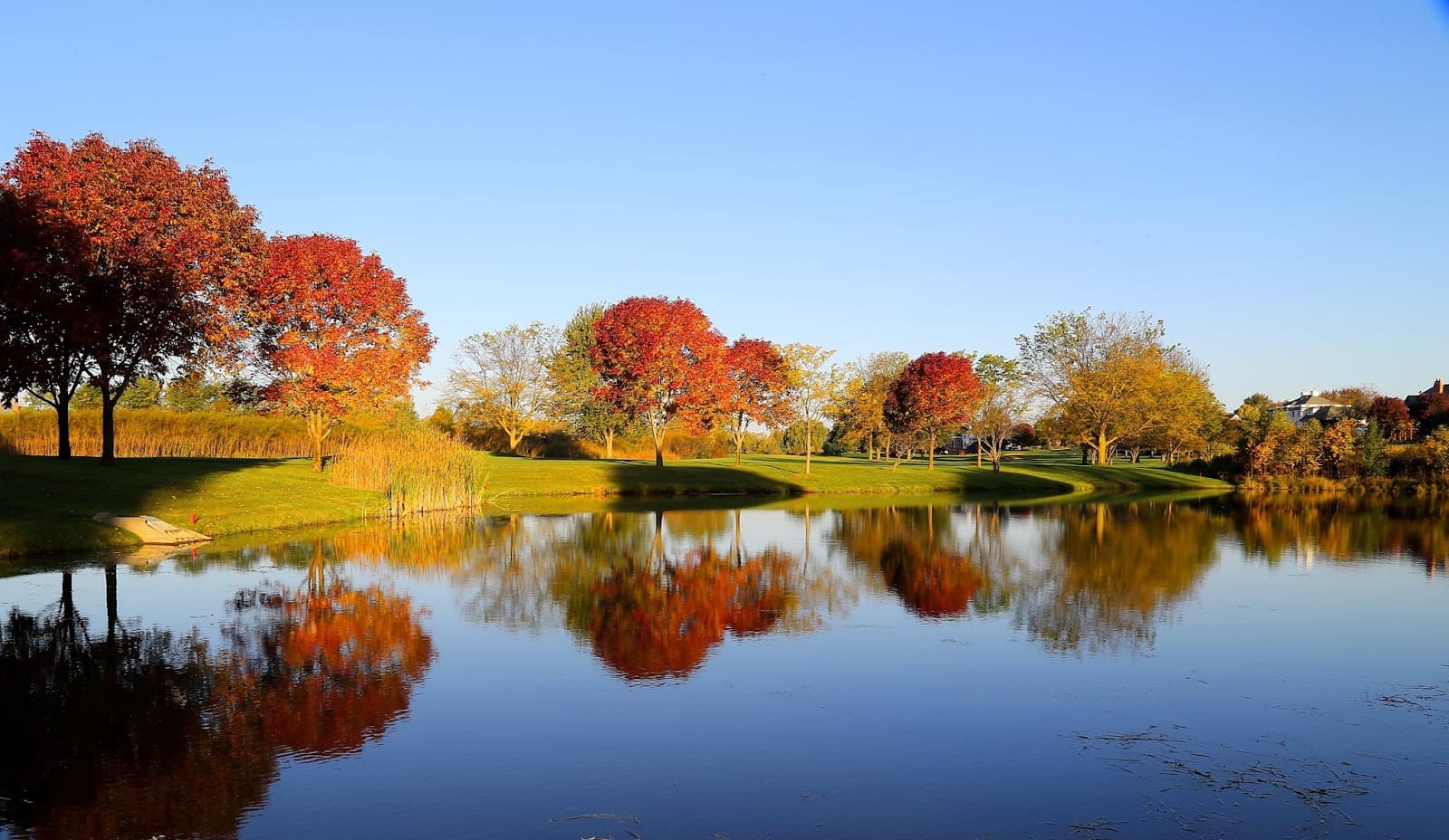 The Hawk Country Club