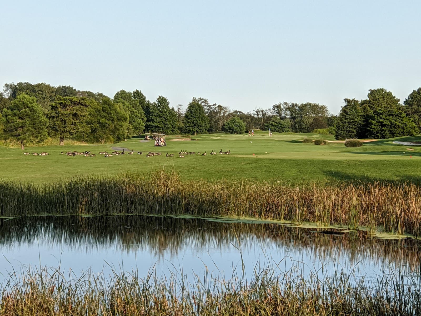 The Rookery South Golf Course