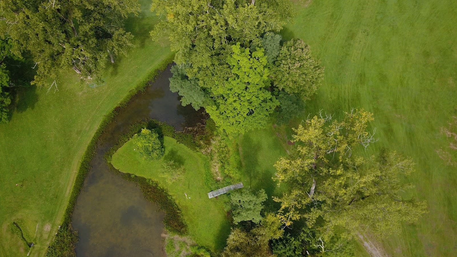 Thomas Memorial Golf & Country Club