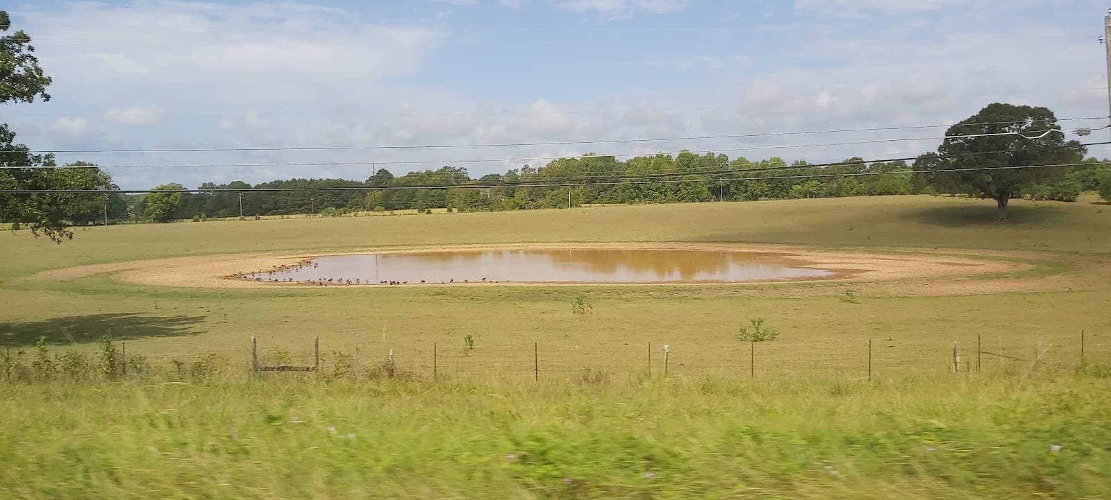 Valley Grande
