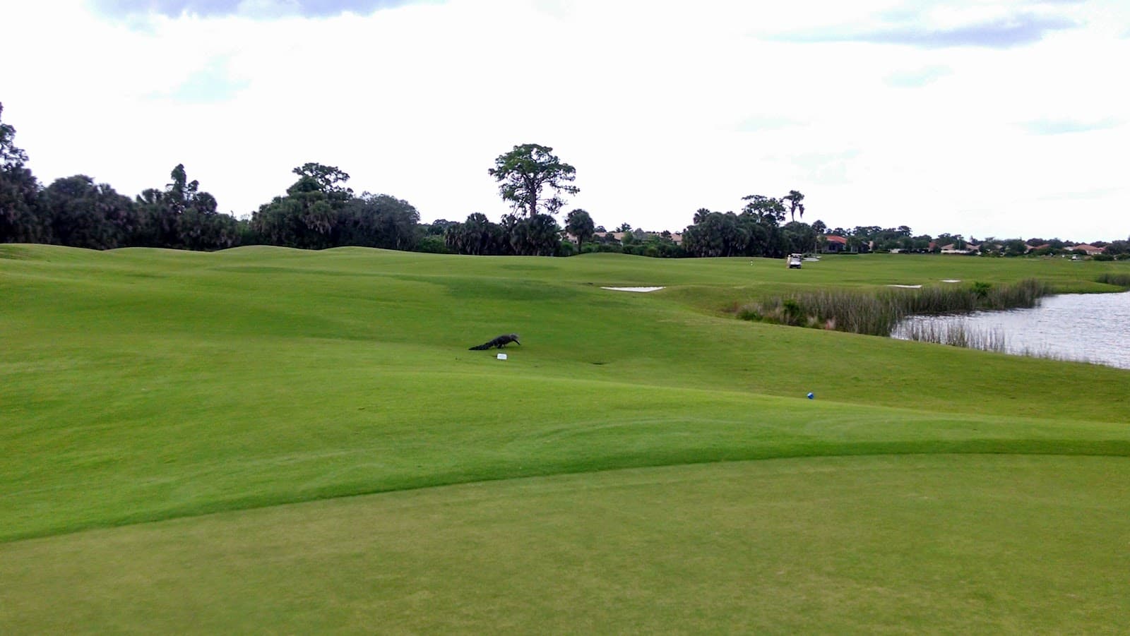 Venetian Golf and River Club