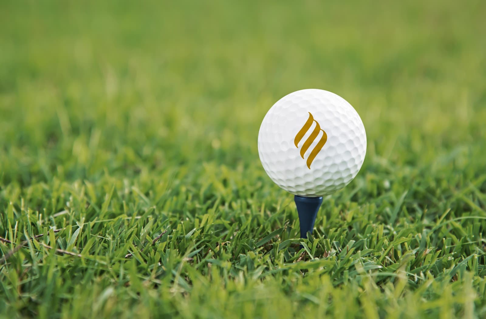 Via Mizner Golf & City Club